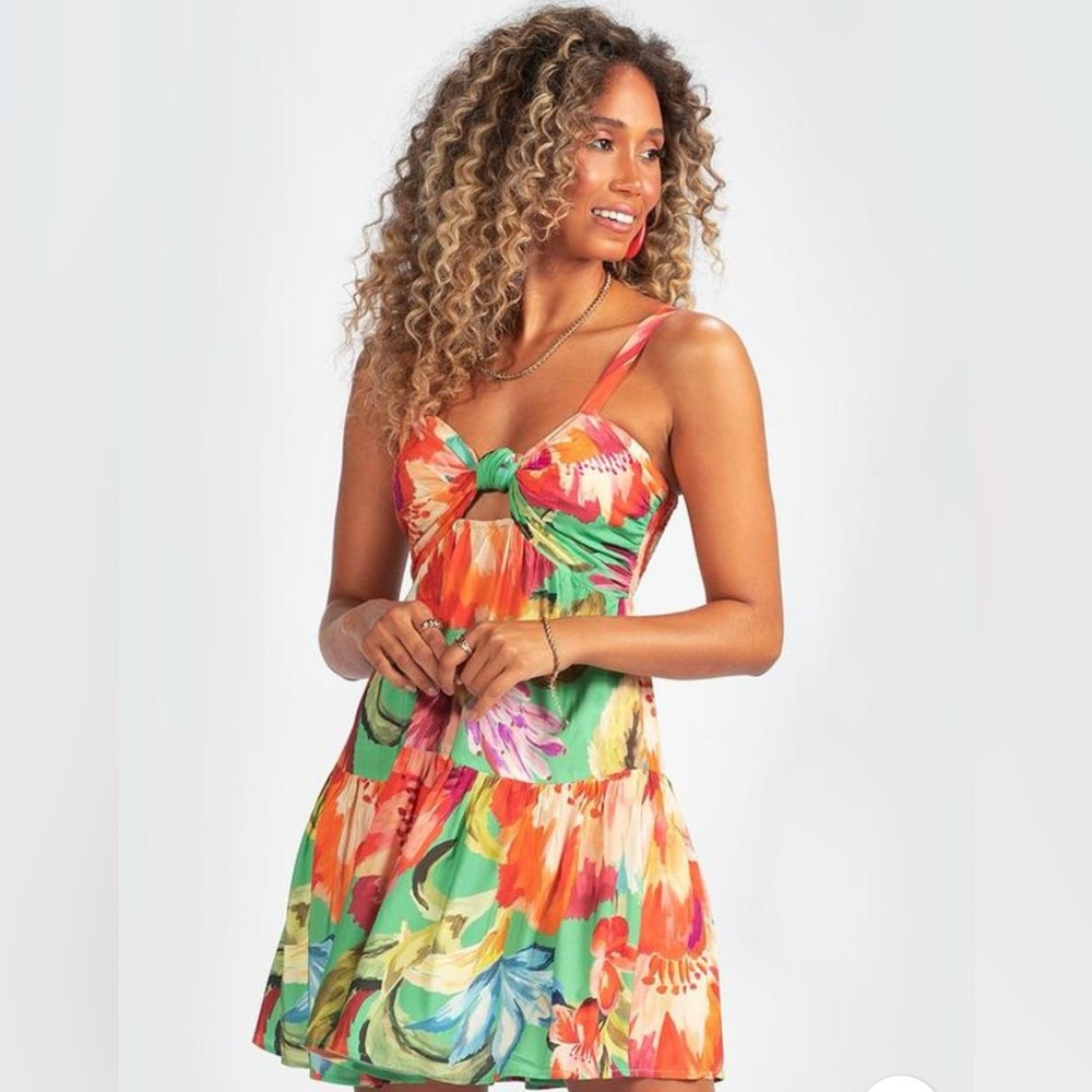 NWT Farm Rio Dress